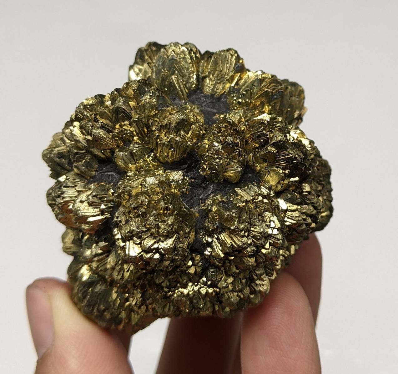 ARSAA GEMS AND MINERALSNew find big size golden Marcasite sphere shape cluster also called prophecy stone from a new find in Darra Adam Khel KPK Pakistan, 315 gram - Premium  from ARSAA GEMS AND MINERALS - Just $150.00! Shop now at ARSAA GEMS AND MINERALS