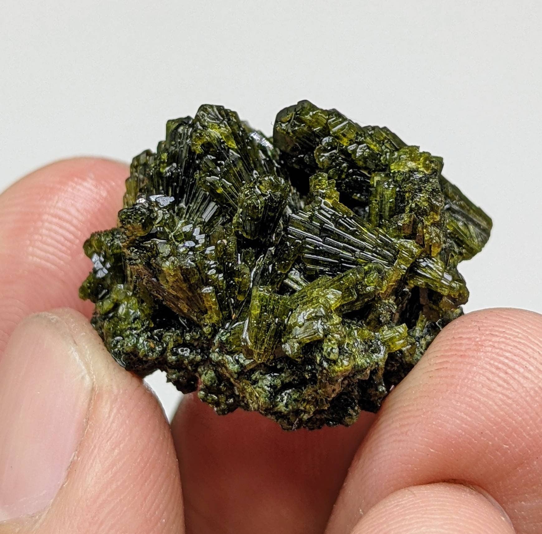 ARSAA GEMS AND MINERALSNatural green spray epidote cluster from Balochistan Pakistan, weight 11.3 grams - Premium  from ARSAA GEMS AND MINERALS - Just $20.00! Shop now at ARSAA GEMS AND MINERALS