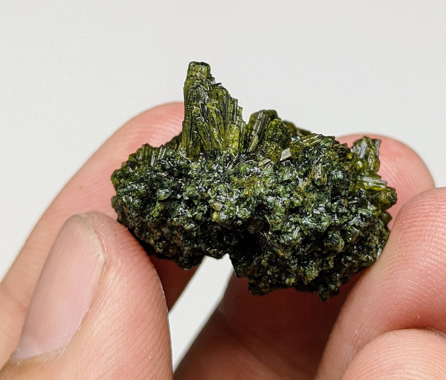 ARSAA GEMS AND MINERALSNatural green spray epidote cluster from Balochistan Pakistan, weight 11.3 grams - Premium  from ARSAA GEMS AND MINERALS - Just $20.00! Shop now at ARSAA GEMS AND MINERALS