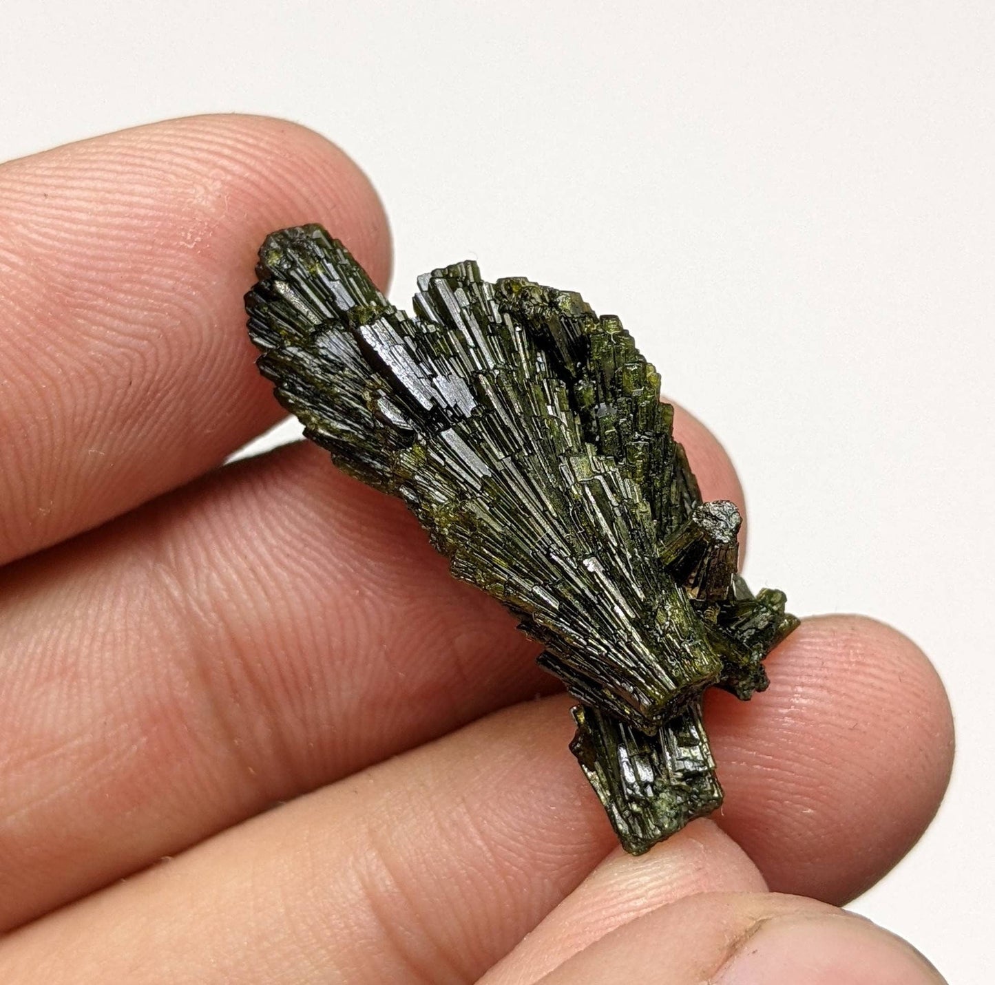 ARSAA GEMS AND MINERALSNatural green spray epidote cluster from Balochistan Pakistan, weight 5.6 grams - Premium  from ARSAA GEMS AND MINERALS - Just $15.00! Shop now at ARSAA GEMS AND MINERALS