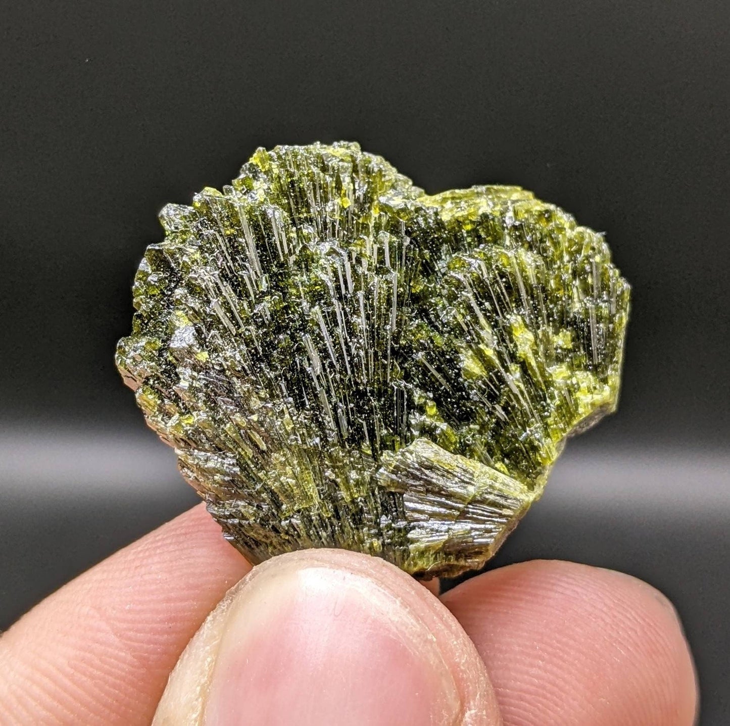 ARSAA GEMS AND MINERALSGrreen spray epidote crystal from Balochistan Pakistan, weight 8.8 grams - Premium  from ARSAA GEMS AND MINERALS - Just $25.00! Shop now at ARSAA GEMS AND MINERALS