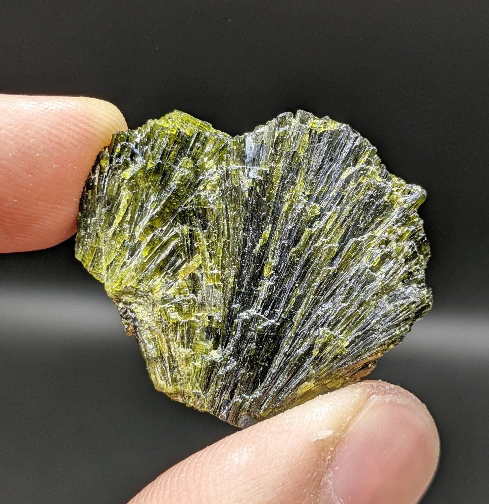 ARSAA GEMS AND MINERALSGrreen spray epidote crystal from Balochistan Pakistan, weight 8.8 grams - Premium  from ARSAA GEMS AND MINERALS - Just $25.00! Shop now at ARSAA GEMS AND MINERALS