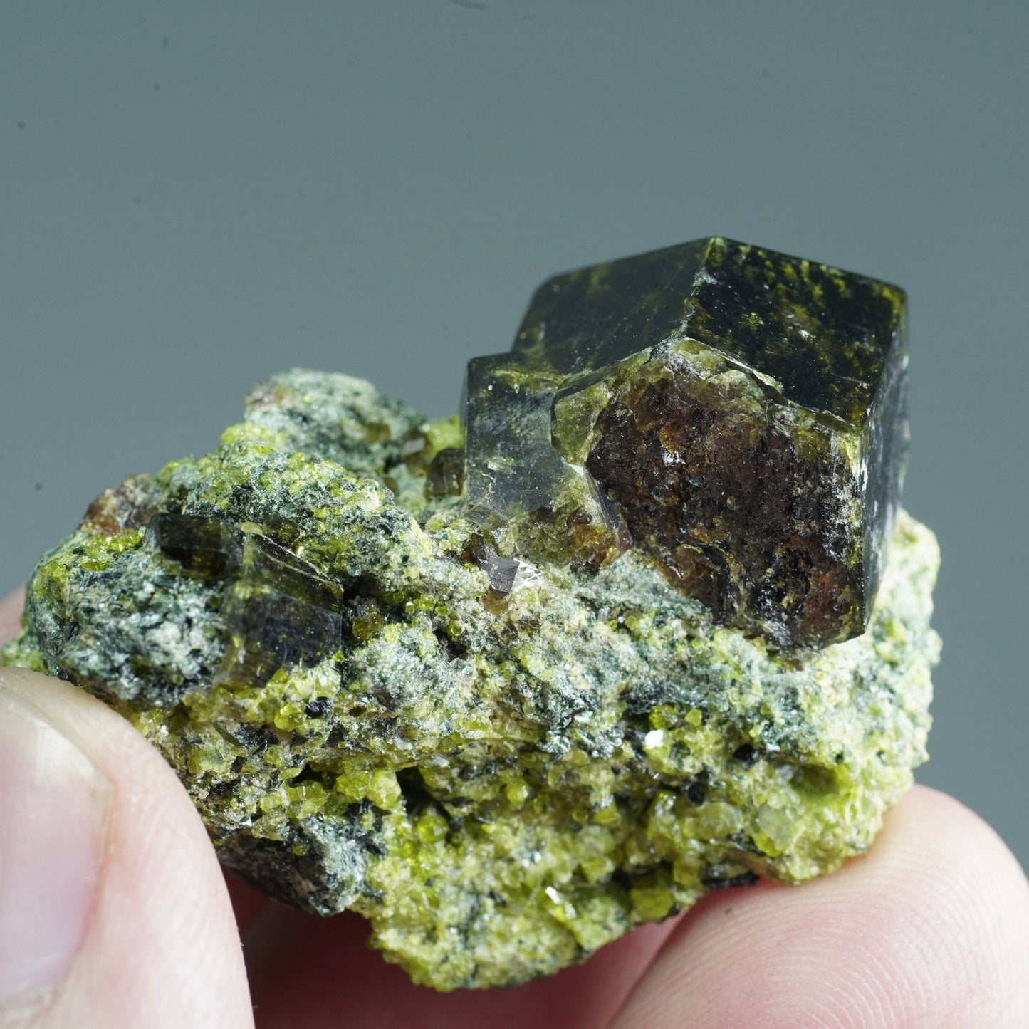 ARSAA GEMS AND MINERALSAndradite garnet crystal on matrix on albite with green epidote from Pakistan, 22 grams - Premium  from ARSAA GEMS AND MINERALS - Just $50.00! Shop now at ARSAA GEMS AND MINERALS