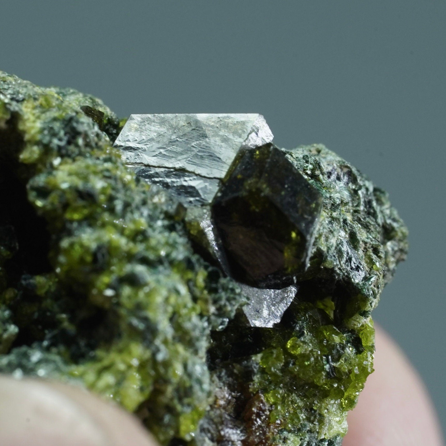 ARSAA GEMS AND MINERALSAndradite garnet crystal on matrix on albite with green epidote from Pakistan, 22 grams - Premium  from ARSAA GEMS AND MINERALS - Just $50.00! Shop now at ARSAA GEMS AND MINERALS