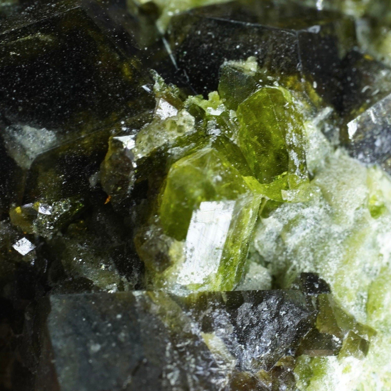 ARSAA GEMS AND MINERALSAndradite garnet crystal on matrix on albite with green epidote from Pakistan, 21.7 grams - Premium  from ARSAA GEMS AND MINERALS - Just $50.00! Shop now at ARSAA GEMS AND MINERALS