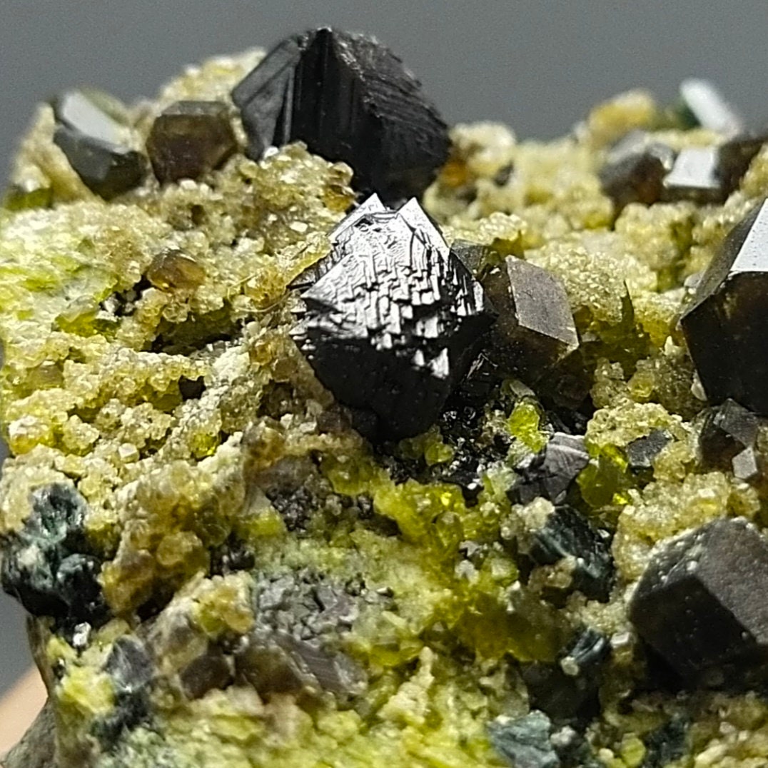 ARSAA GEMS AND MINERALSAndradite garnet crystal on matrix on albite with green epidote and magnetite from Pakistan, 209 grams - Premium  from ARSAA GEMS AND MINERALS - Just $150.00! Shop now at ARSAA GEMS AND MINERALS