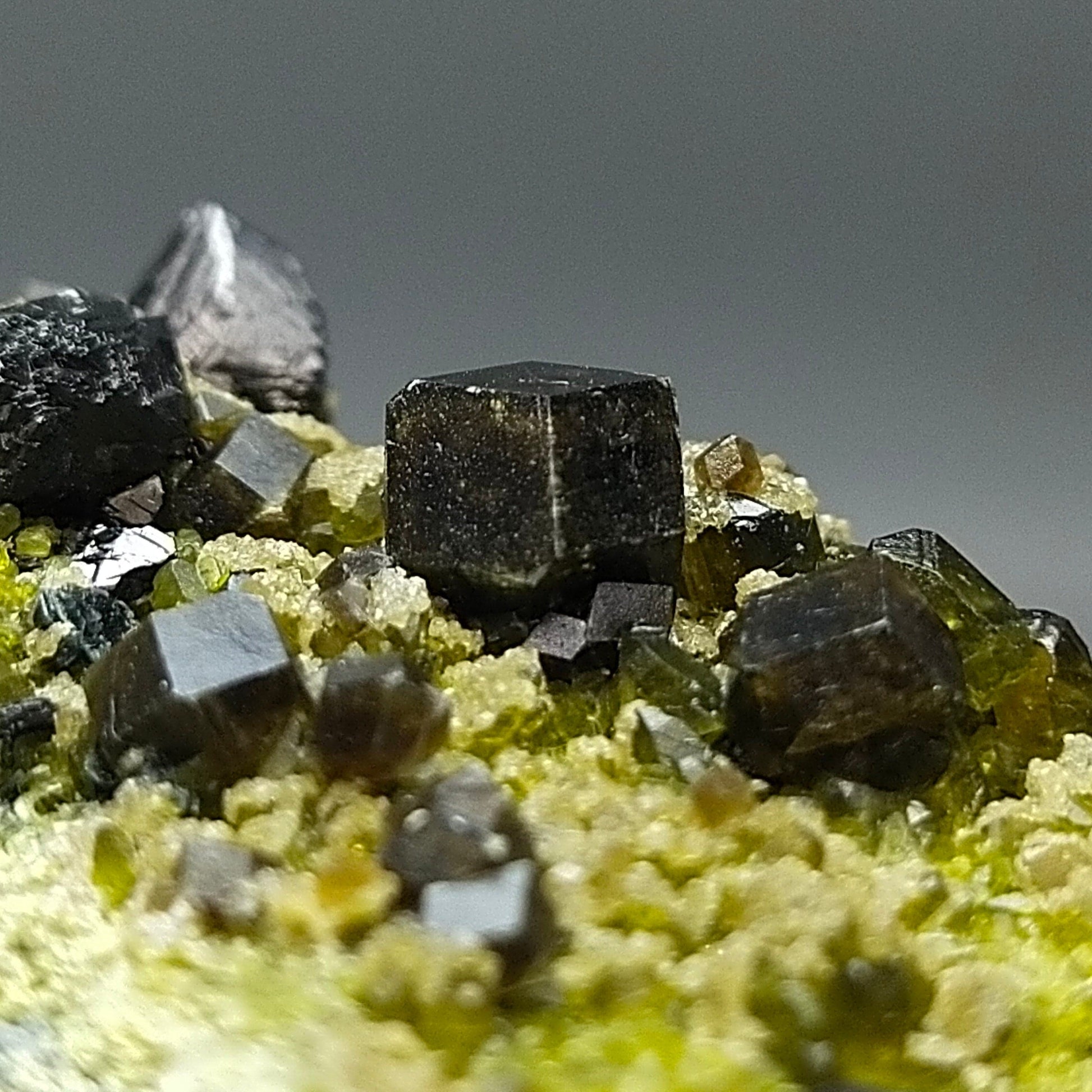 ARSAA GEMS AND MINERALSAndradite garnet crystal on matrix on albite with green epidote and magnetite from Pakistan, 209 grams - Premium  from ARSAA GEMS AND MINERALS - Just $150.00! Shop now at ARSAA GEMS AND MINERALS