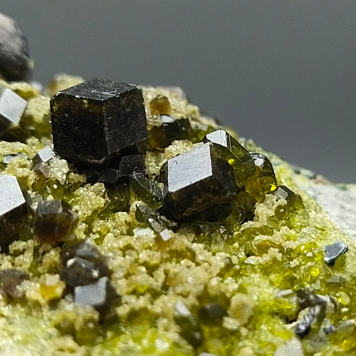 ARSAA GEMS AND MINERALSAndradite garnet crystal on matrix on albite with green epidote and magnetite from Pakistan, 209 grams - Premium  from ARSAA GEMS AND MINERALS - Just $150.00! Shop now at ARSAA GEMS AND MINERALS