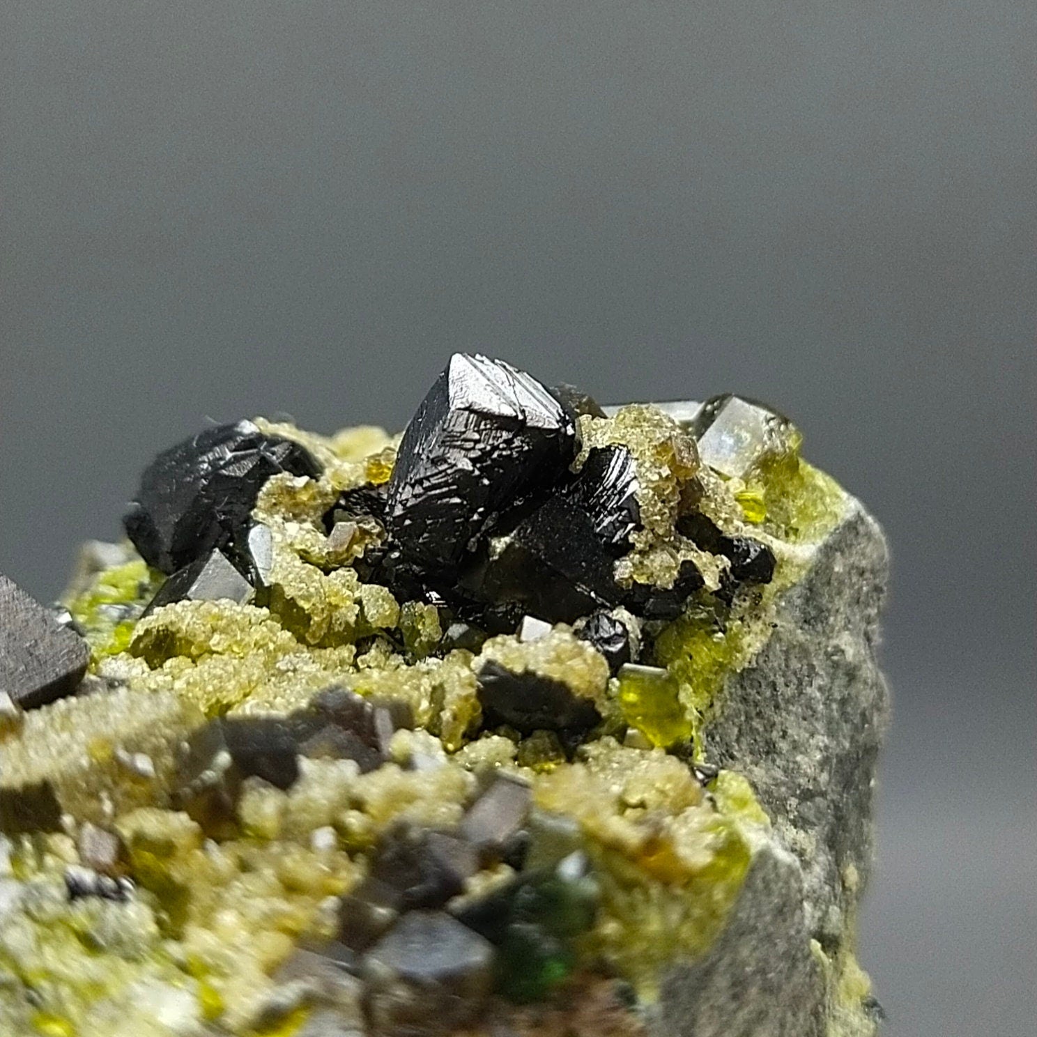 ARSAA GEMS AND MINERALSAndradite garnet crystal on matrix on albite with green epidote and magnetite from Pakistan, 209 grams - Premium  from ARSAA GEMS AND MINERALS - Just $150.00! Shop now at ARSAA GEMS AND MINERALS